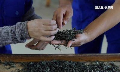 普洱茶餅里面有木炭味正常嗎？怎樣解決普洱茶餅的雜味？