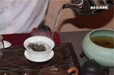 普洱貓耳朵的茶味和口感、產(chǎn)量、價格及歸屬片區(qū)