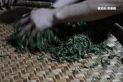 怎么樣保存普洱茶？茶餅保存多久？