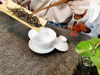 怎么泡普洱茶熟茶茶餅視頻教程