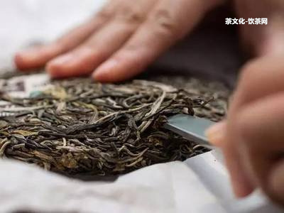 海南普洱茶多少錢一斤？海口交易市場有嗎？