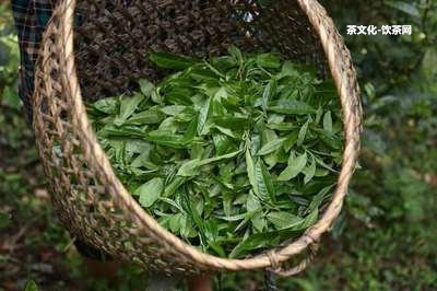 普通的普洱茶價(jià)格和圖片對(duì)比及多少錢