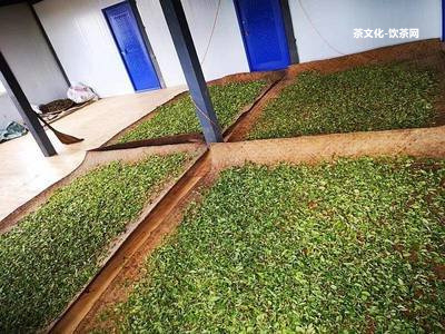 云南七子宮廷珍藏普洱熟茶357和餅茶品價(jià)格