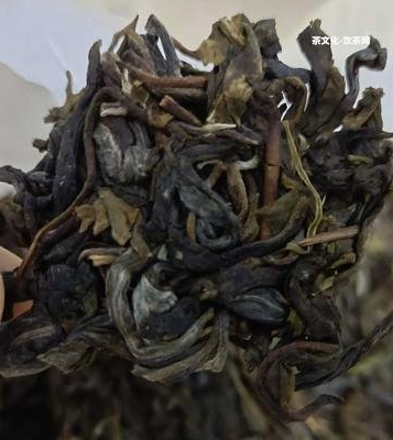 普洱茶茶針怎么采用：取茶視頻及采用方法