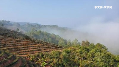 英紅茶行以前是勐海茶廠的最大經銷商，現英紅茶業(yè)旗艦店和英紅茶葉股份，提供英紅紅茶價格查詢服務。