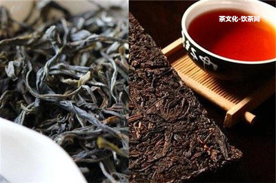 陳茶和普洱茶的區(qū)別：好不好喝、產(chǎn)地、品質(zhì)等方面的對(duì)比