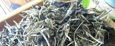 彩程普洱茶排名學(xué)費(fèi)茶第二位，價(jià)格便宜怎么樣？