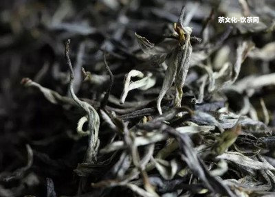 普洱是當(dāng)年的茶嗎還是茶葉？陳年普洱茶好喝還是當(dāng)年的更佳？