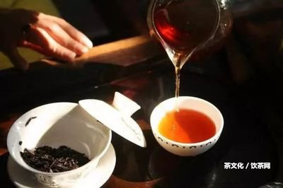 天喝普洱茶加什么好喝？最佳搭配推薦！