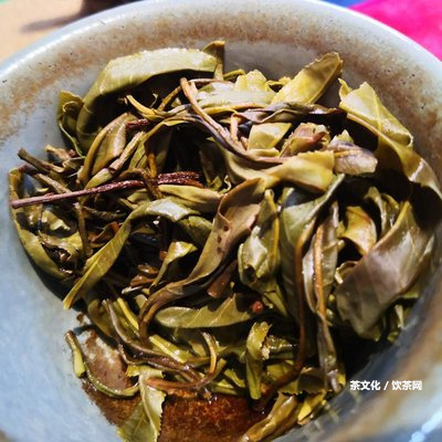 存普洱茶的意義：好處、升值空間、意義何在？