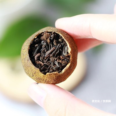 普洱茶加什么效果好？探秘給普洱茶加什么最好喝的效果，推薦幾款普洱茶加料，讓你喝出不一樣的味道！