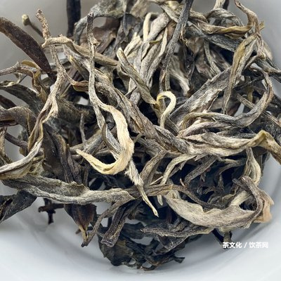 普洱茶為何都是茶梗？是茶梗更好的選擇嗎？