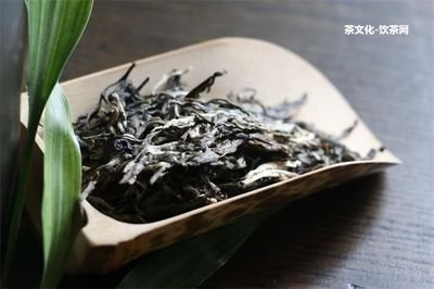 為什么普洱茶這么火：探究普洱茶為何如此受歡迎？