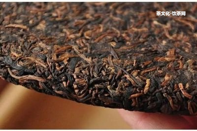 易武野生大樹茶特級品及其品種7568，熟悉易武山野生大樹茶特級品