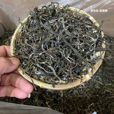 普洱茶怎么泡水喝：最佳方法與效果