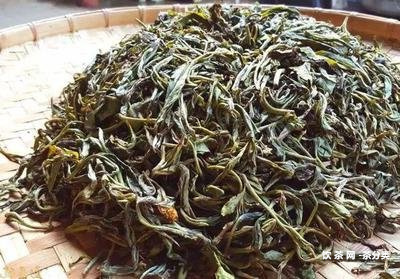 龍帕普洱茶餅：特點、價格及口感探究