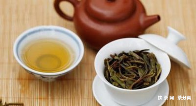 古道問(wèn)茶官網(wǎng)南糯山，茶業(yè)，云南普洱茶品牌怎么樣？