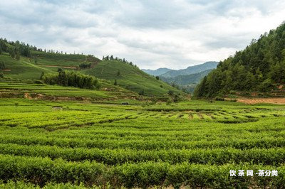 葫蘆谷是哪個(gè)茶區(qū)的