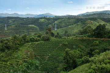 云南普洱茶禮盒包裝-云南普洱茶禮盒包裝圖片