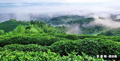 糯香普洱需要洗茶嗎