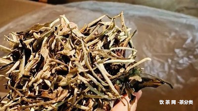 家駒品茶哪個(gè)好