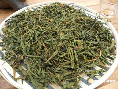 普洱茶樹(shù)是什么樹(shù)