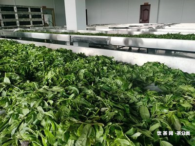 潤龍祥普洱茶