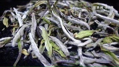 十大普洱茶創(chuàng)始人