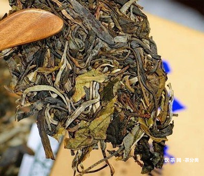 世界頂級麻黑普洱茶