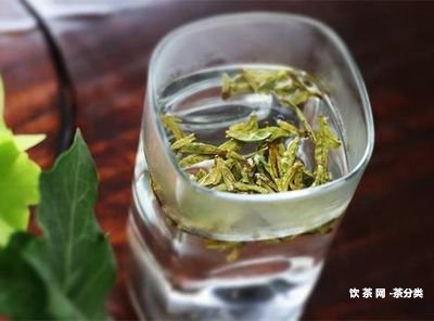 普洱茶可以下魚缸不