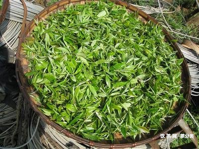 普洱茶餅不存在內(nèi)扉