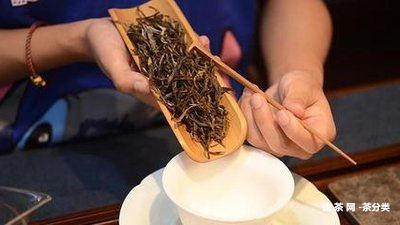 碎普洱茶餅怎么存放