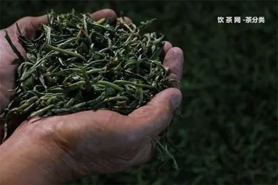 臨汾的茗善堂普洱茶