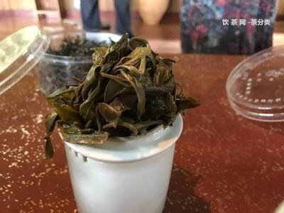 福建富硒普洱茶加工