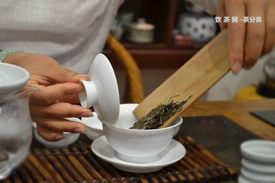 日照普洱茶餅招商