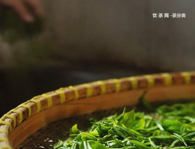 五等十級普洱茶