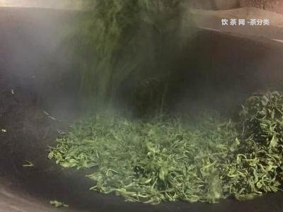 普洱茶小顆粒是什么