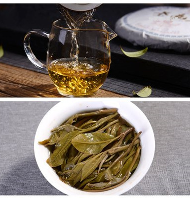 云南千家寨七子餅茶價格及2007年普洱茶餅價格，千年古茶樹探秘