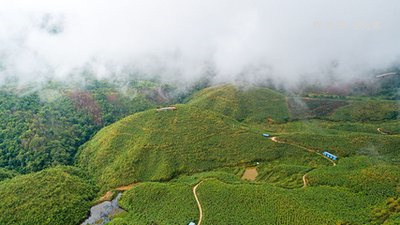 普洱茶茶區(qū)及特點