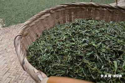 家駒品茶哪個(gè)好