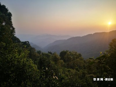 熟普洱喝起來怎么跟發(fā)霉了一樣