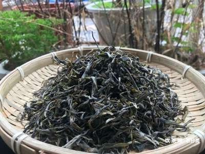 普洱茶思銀毫沱茶