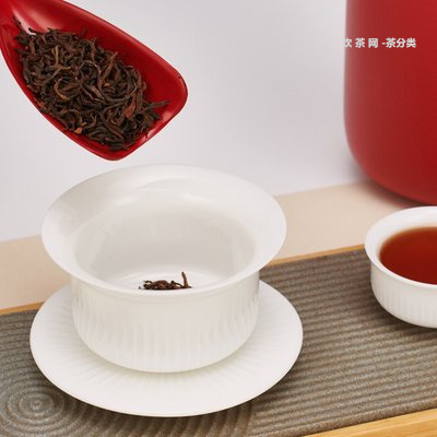 福建普洱茶