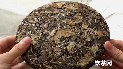 福鼎白茶茶莊_福鼎白茶廠家直銷 