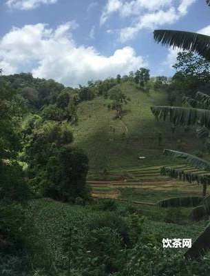 普洱茶勐庫茶廠圖片