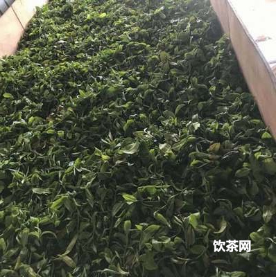 山茶花有什么傳說？山茶花有什么象征意義