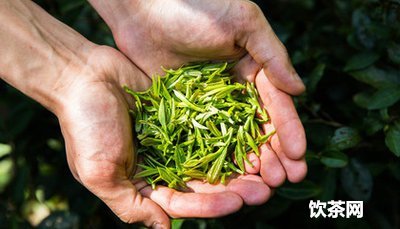 大益普洱茶贏餅_大益普洱茶餅價格