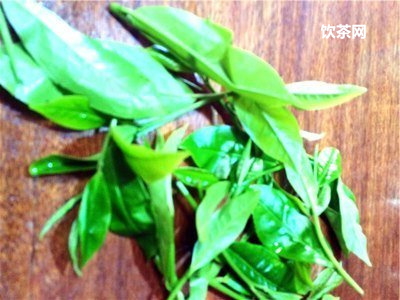 什么花可以泡茶喝？什么花泡茶喝可以減肥