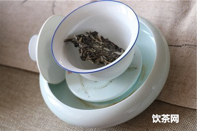 普洱茶餅蟲蛀了怎么辦？普洱茶餅長(zhǎng)蟲怎么辦