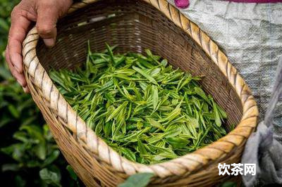 熟普洱茶能保存幾年